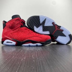 Air Jordan Toro Bravo 6s